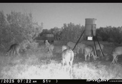 Lot 1 Other Rocksprings TX 78880