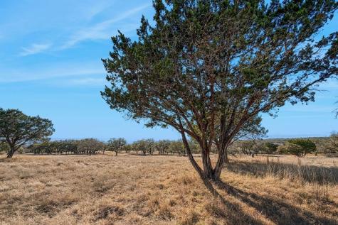 521 Bluff Creek Road Center Point TX 78010