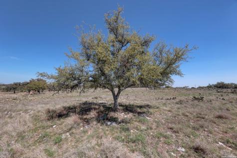 1443 Gina Road Harper TX 78631