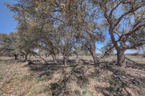 1443 Gina Road Harper TX 78631