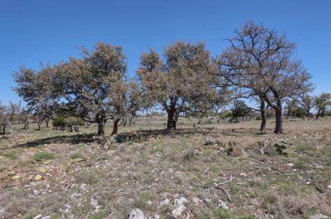 1443 Gina Road Harper TX 78631