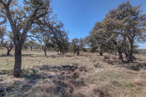 1443 Gina Road Harper TX 78631