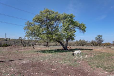 1443 Gina Road Harper TX 78631