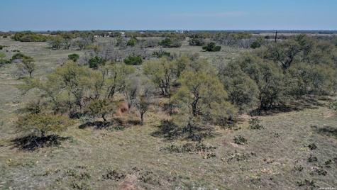 1443 Gina Road Harper TX 78631