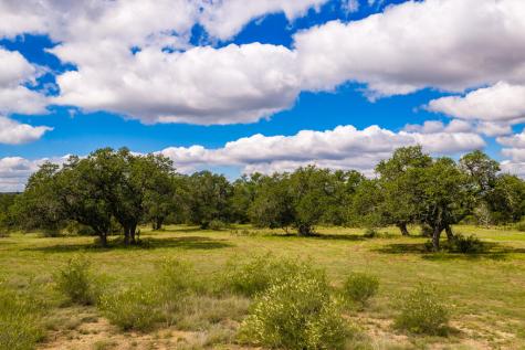 3145 Grape Creek Road Fredericksburg TX 78624