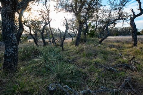 Fort Mckavett TX 76841