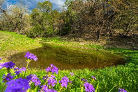 1994 Bear Creek Road Kerrville TX 78028