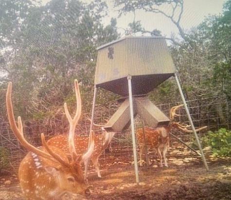 350 County Road 350 Barksdale TX 78828