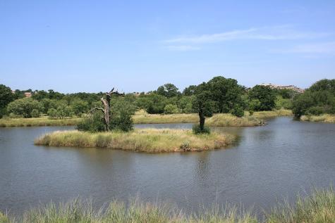 0 Other Llano TX 78643