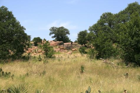 0 Other Llano TX 78643