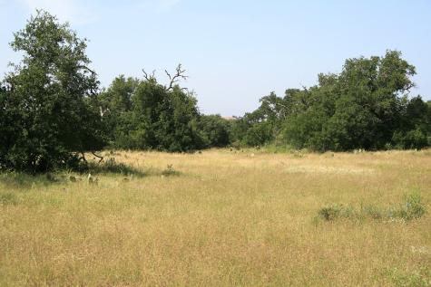 0 Other Llano TX 78643