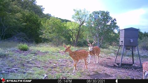 Rocksprings TX 78880