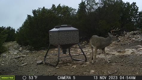Rocksprings TX 78880