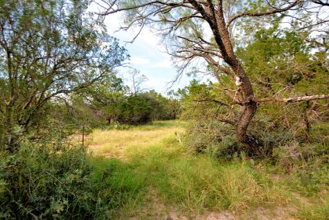 22874 Ranch Road 385 Harper TX 78631