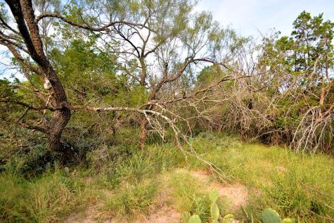 22874 Ranch Road 385 Harper TX 78631