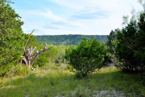 22874 Ranch Road 385 Harper TX 78631