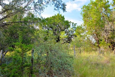 22874 Ranch Road 385 Harper TX 78631