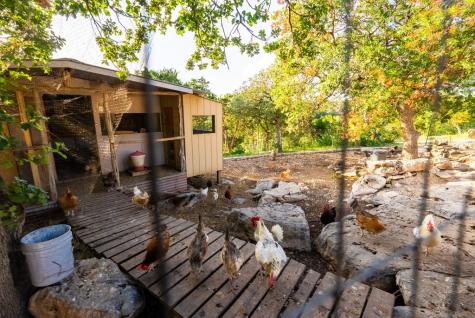 165 Trent Road Kerrville TX 78028