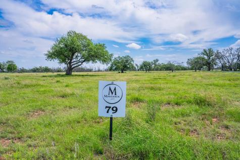 Lot 79 Stock Pond Drive Harper TX 78631