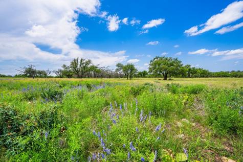 Lot 79 Stock Pond Drive Harper TX 78631