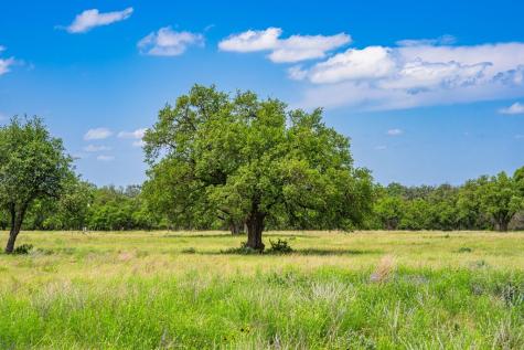 Lot 79 Stock Pond Drive Harper TX 78631