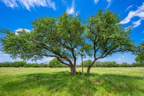 Lot 79 Stock Pond Drive Harper TX 78631