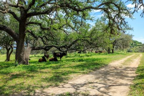 4392 Fm 2721 Fredericksburg TX 78624