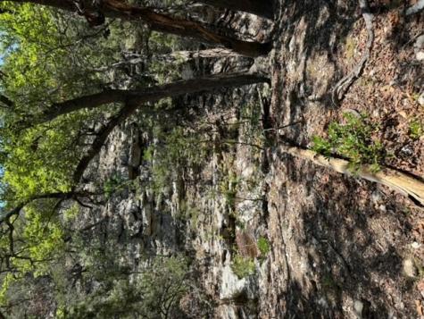 824 Pinon Loop Camp Wood TX 78833