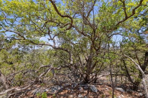 824 Pinon Loop Camp Wood TX 78833