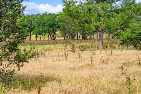 430 Cool Creek Road Center Point TX 78010