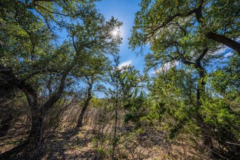 0000 Holdsworth Drive Kerrville TX 78028