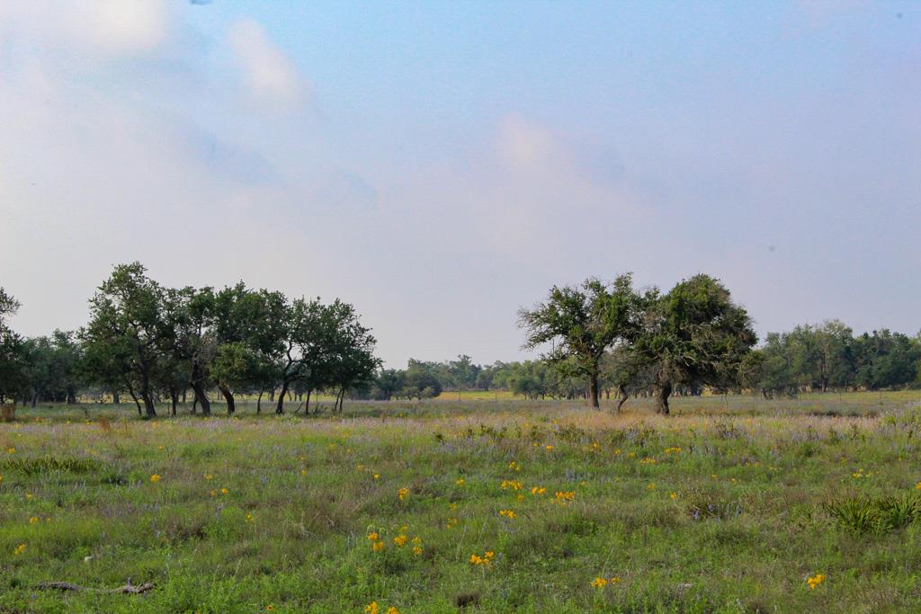 117 Apache Trace Harper TX 78631
