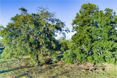 Xx Doss Spring Creek Road Fredericksburg TX 78624