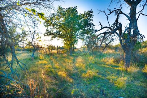 Xx Doss Spring Creek Road Fredericksburg TX 78624