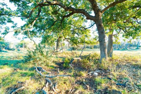 Xx Doss Spring Creek Road Fredericksburg TX 78624