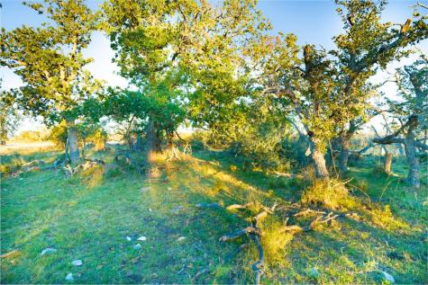 Xx Doss Spring Creek Road Fredericksburg TX 78624