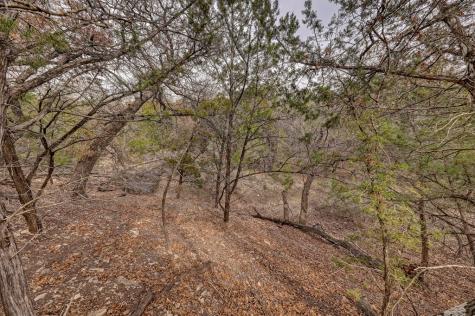 158 Ledge Stone Lane Hunt TX 78024