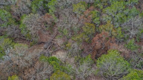 158 Ledge Stone Lane Hunt TX 78024