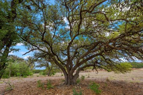 Lot 10 Winans Creek Road Bandera TX 78003
