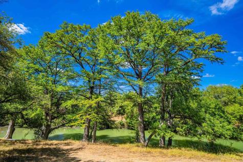 105A Oleander Road Comfort TX 78013