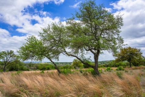 Lot 48 Great Sky Avenue Kerrville TX 78028