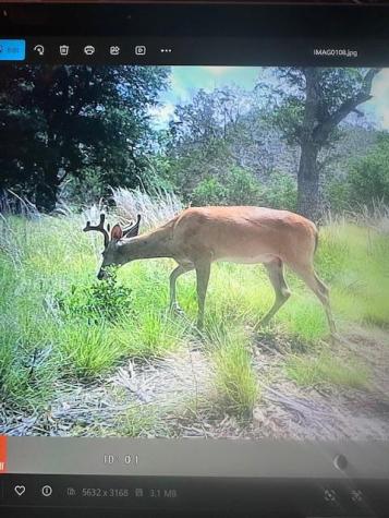 128 Tablerock Ridge Road Kerrville TX 78028
