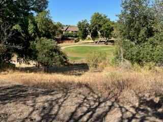 2411 Birkdale Lane Kerrville TX 78028
