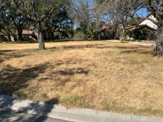 2411 Birkdale Lane Kerrville TX 78028