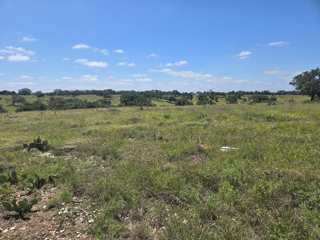 79 Cattlemans Crossing Drive Kerrville TX 78028