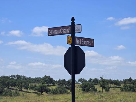 79 Cattlemans Crossing Drive Kerrville TX 78028