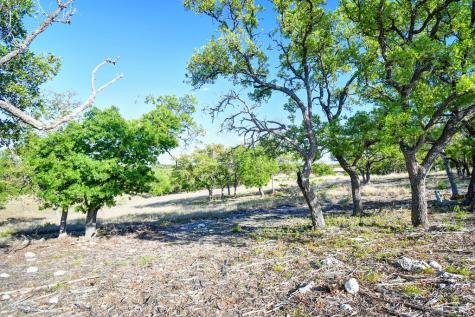 Lot 10 Cattlemans Crossing Drive Kerrville TX 78028