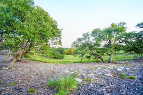Lot 10 Cattlemans Crossing Drive Kerrville TX 78028