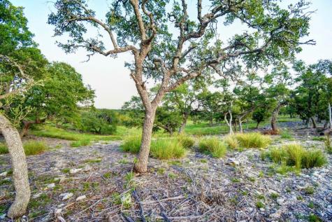 Lot 10 Cattlemans Crossing Drive Kerrville TX 78028
