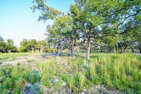 Lot 10 Cattlemans Crossing Drive Kerrville TX 78028